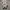 New Balance Indie Casual Sneakers Pria white photo 5