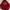 Abercrombie & Fitch Streetwear Hoody Pria red photo 4