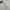 Lee Streetwear Hoody Pria white cream photo 4