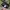 Fox Racing Streetwear Y2K Hat Pria black photo 3