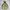 Nike ACG Streetwear Gorpcore Windbreaker Pria Tan Brown