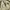 Nike ACG Streetwear Gorpcore Windbreaker Pria tan brown photo 3
