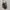 Luxury Crossbody Bag Wanita green photo 6