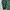 Tornado Mart Vintage Avant Garde Casual Shirt Pria Multicolor Green