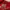 Adidas Casual Hoody Pria gold red photo 2