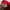 Adidas Casual Hoody Pria gold red photo 3