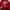 Adidas Casual Hoody Pria gold red photo 4