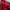Adidas Casual Track jacket Pria red photo 3