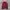 Nike Vintage Hoody Pria burgundy photo 1