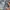 codes combine Casual Bomber jacket Pria multicolor photo 5