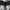 Hollister Sportswear Windbreaker Pria white black photo 7
