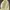 Columbia Sportswear Windbreaker Wanita yellow photo 3