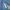 Sportswear Windbreaker Pria blue photo 5