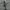 Sportswear Track jacket Pria black photo 7
