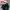 Zara Luxury Minimalist Bodycon dress Wanita black photo 2