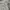 Burberry Luxury Sweatpants & Joggers Pria gray photo 8