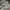 Burberry Luxury Sweatpants & Joggers Pria gray photo 5