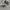Burberry Luxury Sweatpants & Joggers Pria gray photo 4