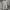 Burberry Luxury Sweatpants & Joggers Pria gray photo 1