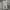 Burberry Luxury Sweatpants & Joggers Pria Gray