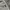 Burberry Luxury Sweatpants & Joggers Pria gray photo 3