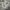 Burberry Luxury Sweatpants & Joggers Pria gray photo 2