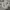 Burberry Luxury Sweatpants & Joggers Pria Gray
