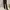 Streetwear Skater Casual trouser Wanita black photo 4