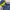 Adidas Streetwear Sportswear Windbreaker Pria yellow black photo 2