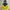 Adidas Streetwear Sportswear Windbreaker Pria yellow black photo 1
