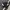 Nike Vintage Sportswear Puffer jacket Pria white black photo 3