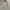 Y2K Kebaya Wanita cream photo 4