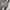 Nike Vintage Sportswear Windbreaker Pria gray photo 6