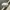 Nike Vintage Sportswear Windbreaker Pria gray photo 1