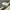 Nike Vintage Sportswear Windbreaker Pria gray photo 2