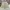 Avirex Streetwear Y2K Short Pria cream photo 2