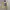 Casual Sweater Wanita yellow photo 6