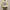 Casual Sweater Wanita yellow photo 4