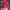 Lolita Coquette Blouse Wanita pink photo 1