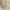 Y2K Coquette Blouse Wanita white cream photo 2