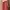 Vintage Wanita pink photo 4