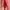 Vintage Wanita pink photo 7