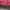 Streetwear Sportswear Puffer jacket Pria red photo 4