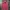 Streetwear Sportswear Puffer jacket Pria red photo 1