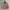 H&M Vintage Y2K Mini skirt Wanita pink photo 3