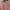 H&M Vintage Y2K Mini skirt Wanita pink photo 5