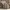 Grunge Fairy Pleated skirt Wanita brown photo 6