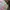 Ikea Vintage Minimalist Wanita Multicolor Pink
