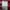 EXR Sportswear Windbreaker Pria brown red photo 4