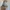 Uniqlo Vintage Luxury Cardigan Wanita white photo 5